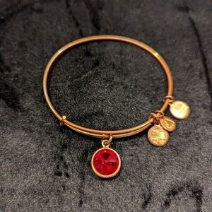 Alex and Ani Ruby Red Birthstone Gemstone Adjustable Charm Bangle Bracelet Gold